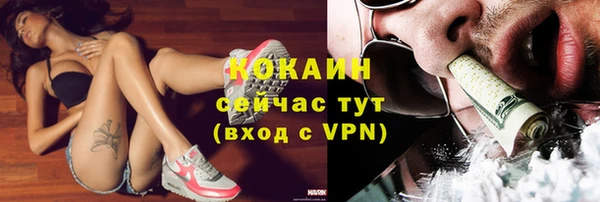 эйфоретик Новозыбков