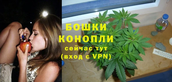 a pvp Новодвинск