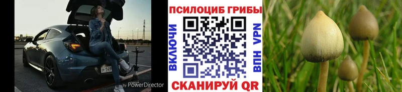 Галлюциногенные грибы мухоморы  Павловский Посад 