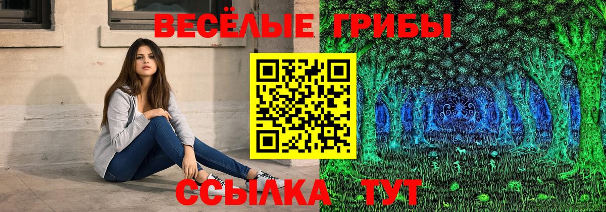 Галлюциногенные грибы Павловский Посад