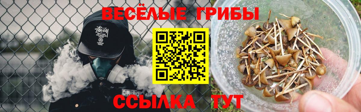 Псилоцибиновые грибы Magic Shrooms  Вход с VPN  Павловский Посад  Галлюциногенные грибы Psilocybe 
